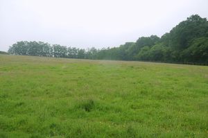 Photo 7- click for photo gallery